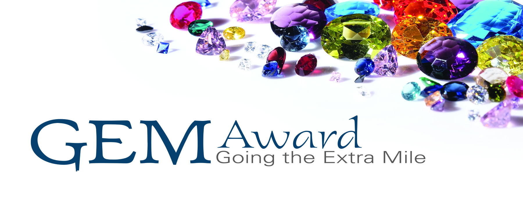 AIMS project team recognized with award for “Going the Extra Mile”